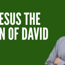 David was more than a shepherd boy who slew Goliath and became a king. David exhibited Christ-like qualities and foreshadowed the Messiah.