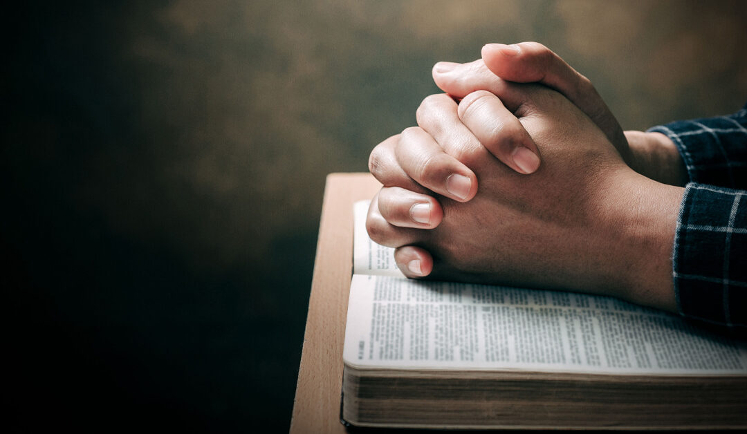 Let’s Read Through the Old Testament in 2026!